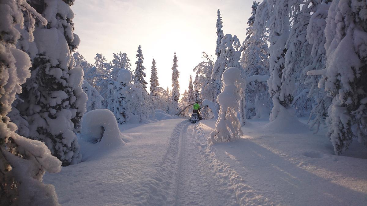 Lapland Snow Cabin Masugnsbyn Exteriör bild